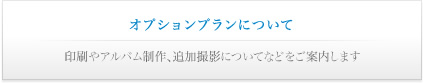 オプションプランについて｜印刷やアルバム制作、追加撮影についてなどをご案内します
